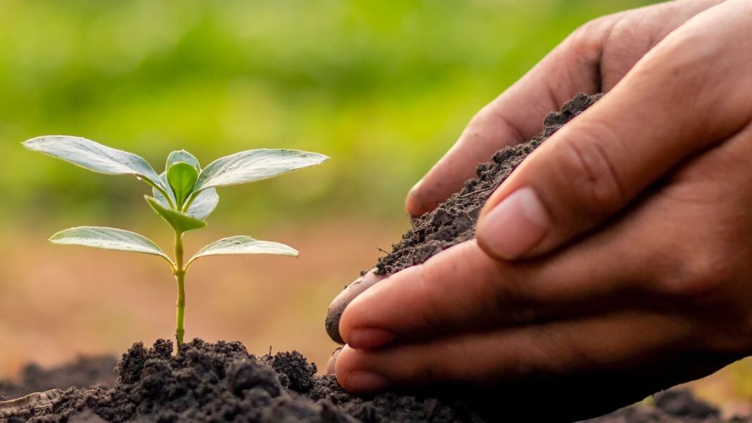 Six months of deeper integration—steady growth taking root